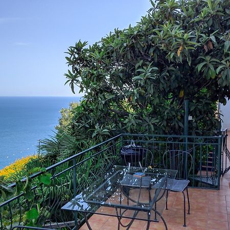 Villa Delle Agavi Vietri Ngoại thất bức ảnh