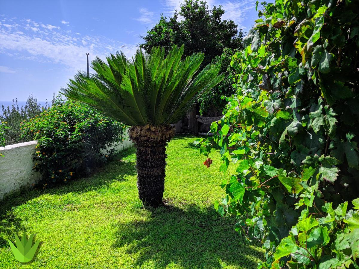 Villa Delle Agavi Vietri Ngoại thất bức ảnh