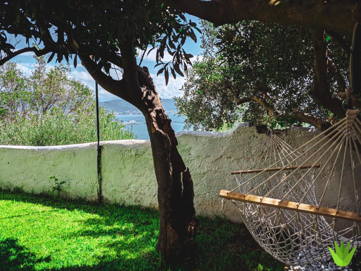 Villa Delle Agavi Vietri Ngoại thất bức ảnh