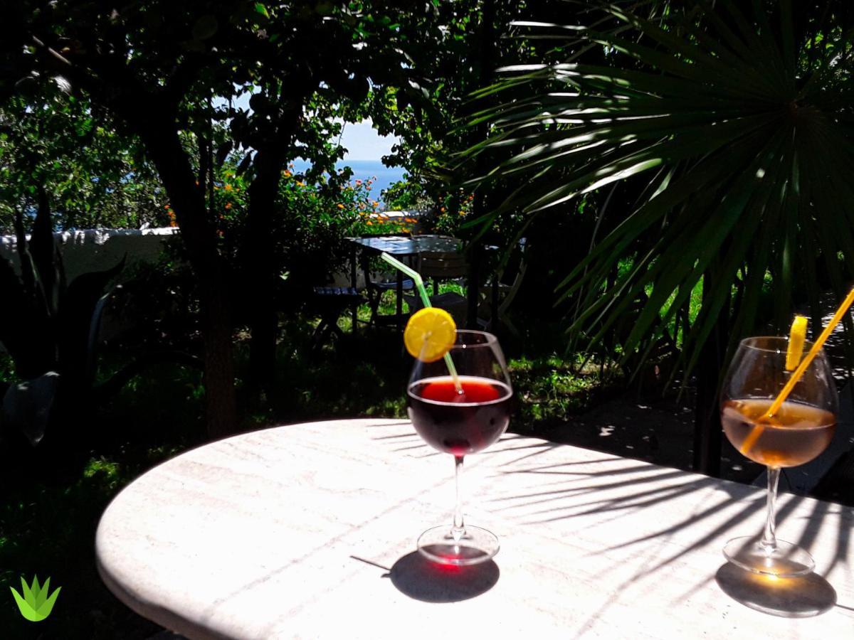 Villa Delle Agavi Vietri Ngoại thất bức ảnh